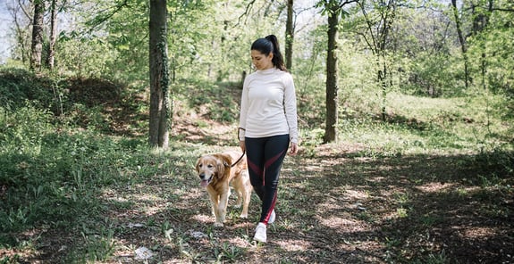 A woman walking her golden retriever through the woods