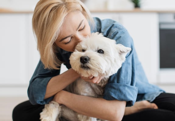 Wst Highland Terrier being kissed by owner