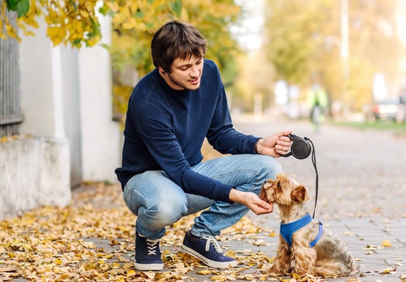 A man stroking his Yorkie's chin.