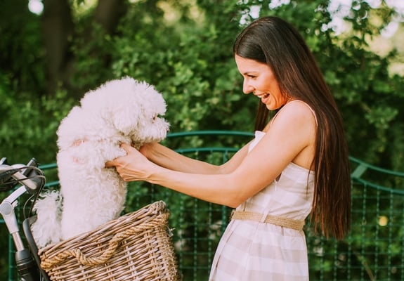 A woman holding her Bichon Frise up in a bicycle basket.
