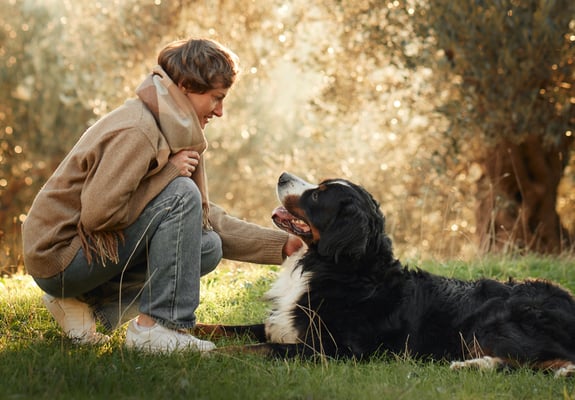 A woman stroking her BMD in the grass.
