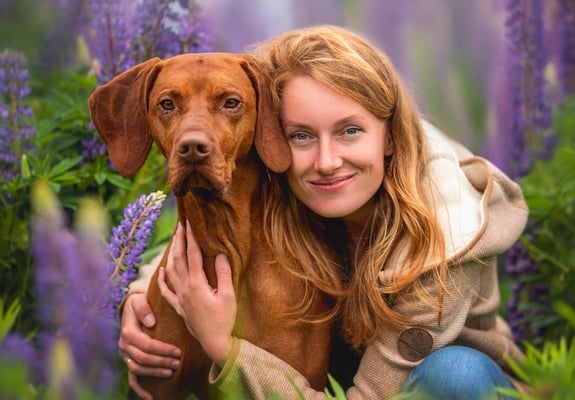 A woman hugging her hungarian vizsla in a field of purple flowers.