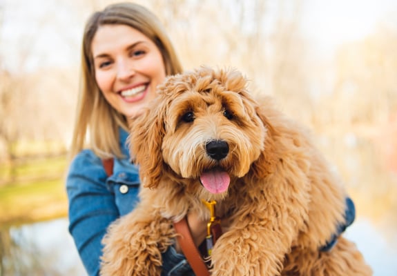 Labradoodle being held by owner in front of a lake