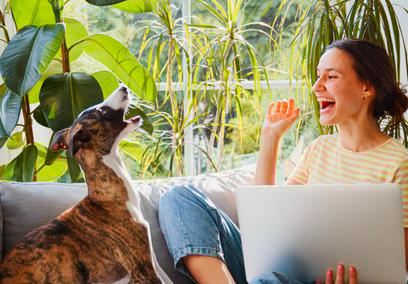 A woman and her Whippet laughing together on a couch.