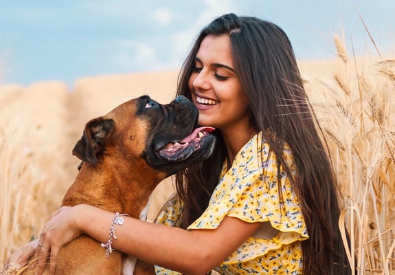 A woman and her boxer in a corn field.