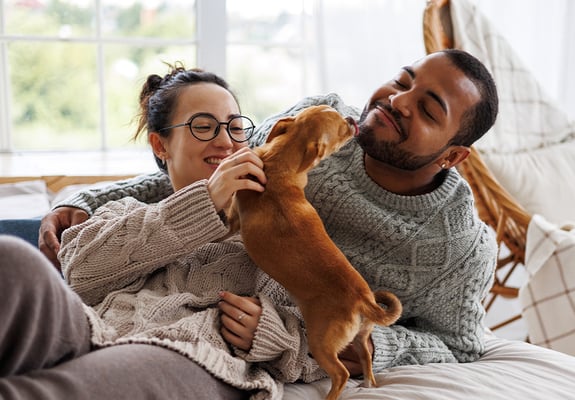 A couple with their small dog, the dog is licking the man's face.