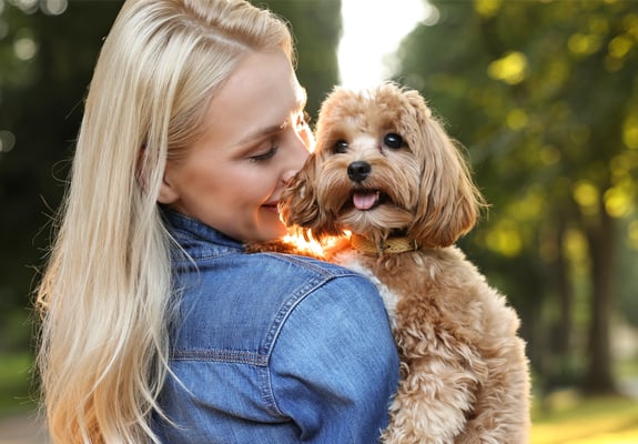 A blonde-haired woman holding a cream Cavapoo.