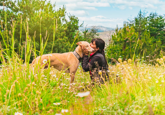 A woman kissing her Greyhound.
