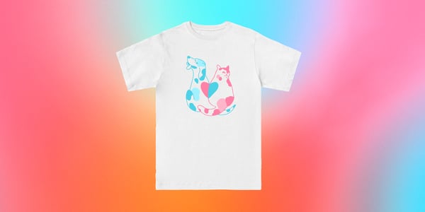 Our Everpress trans pride t-shirt.