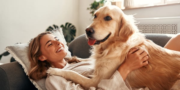 A woman with a golden retriever laying on top of her.