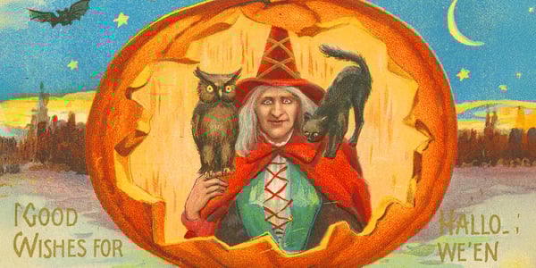 drwaing of witch with black cat and owl