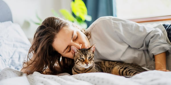tabby cat lying on bed with owner