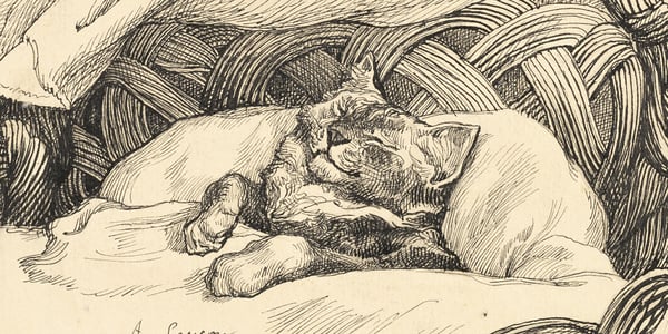 an old painting of a cat in a basket