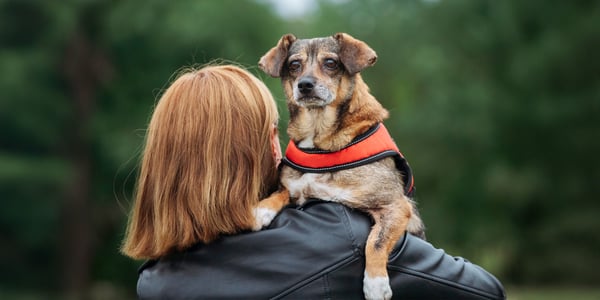 A woman holding a dog over her shoulder.