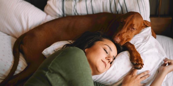 A woman laying in bed with her brown dog.
