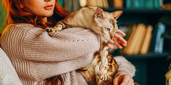 A woman holding a Bengal cat who's about to jump out of her hands.