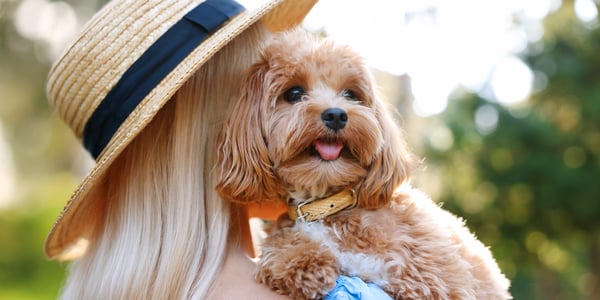 A blonde woman hugging a dog.