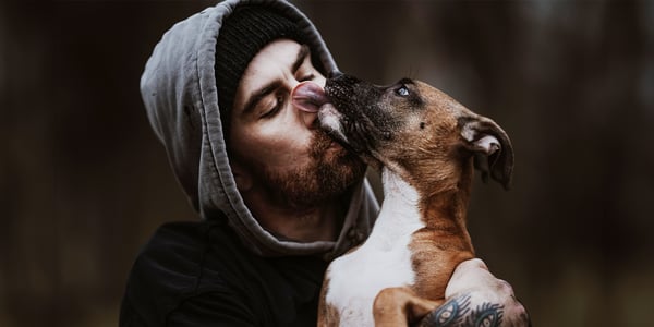 A man wearing a hoodie and holding a dog who is licking his face.