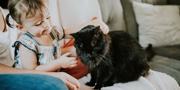 little girl sat with kitten