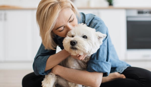 Wst Highland Terrier being kissed by owner