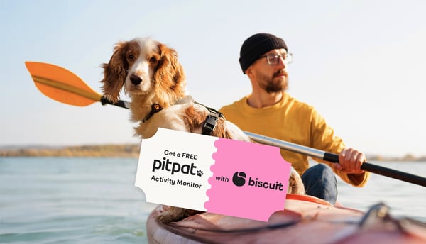 A man kayaking with his dog on a lake, a pitpat x biscuit ticket stub is superimposed on the image.