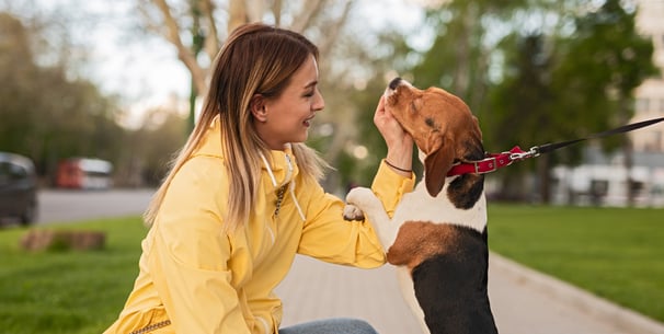 A woman in yellow feeding her Beagle a treat.