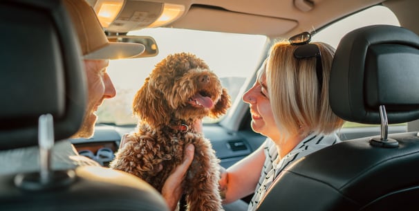 A woman sitting in a passenger car seat smiling at a Maltipoo.