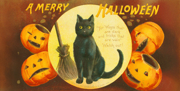 drawing of black cat next to a borrom and surrounded by pumpkins