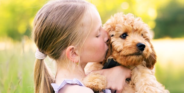 A child kissing a Cavapoo puppy.