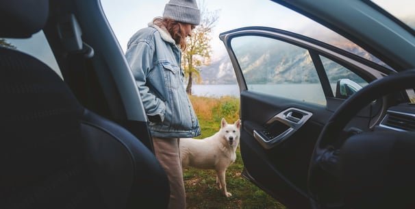 A woman and a dog stood outside of a car by a mountainous area.