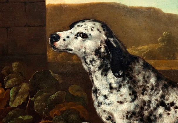 Historic painting of a Dalmatian