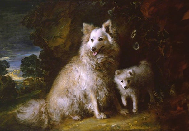 An oil painting of a large pomeranian and its puppy