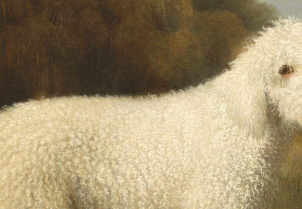 Old painting of white Labradoodle