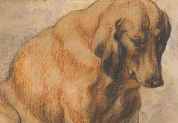 A historic painting of a hungarian vizsla.