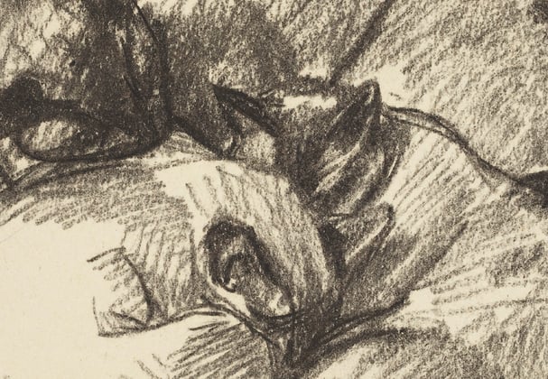 An old sketch of cats cuddling together.