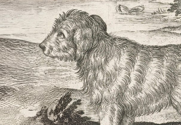 A historic drawing of an early goldendoodle.