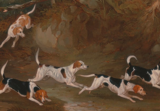 six beagles hunting in a painting