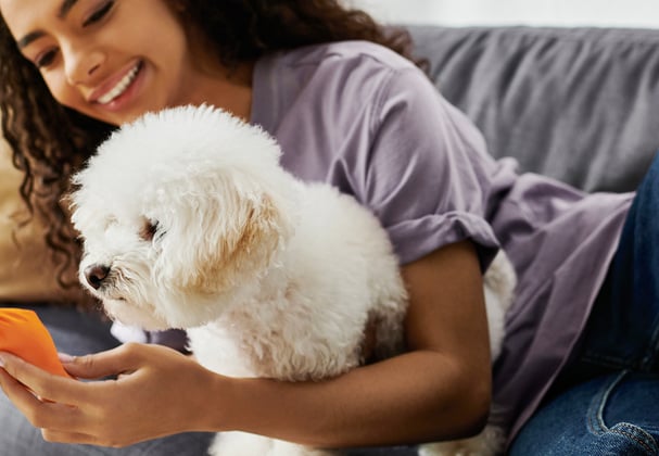 A woman sitting on a couch with her Bichon Frise dog.