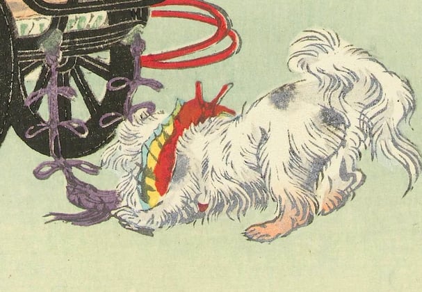 A historic painting of a lhasa apsos breed.
