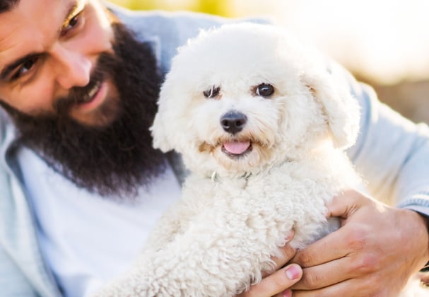 A man with a beard holding a Bichon Frise.