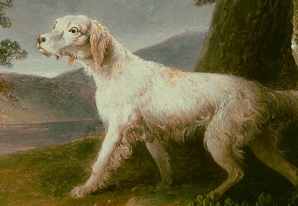 A historic painting of a golden retriever.