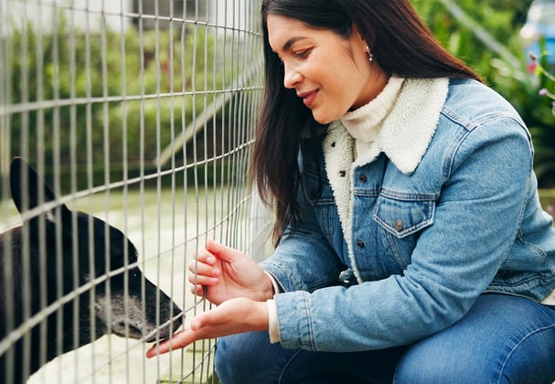 A woman letting a dog sniff her hand through a fence.