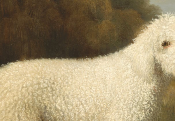 An old painted portrait of a white Poodle.