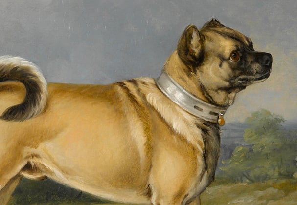 A historic painting of a pug breed.