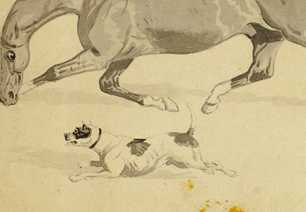 A historic painting of an american bulldog.