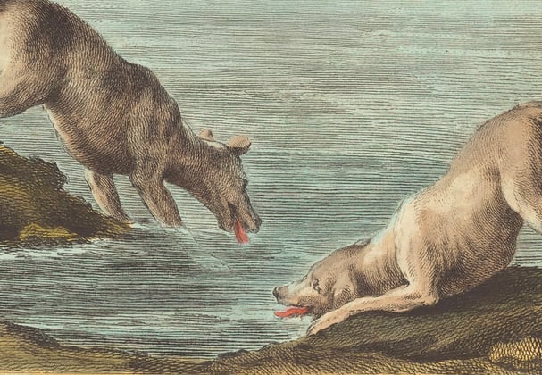 A historic painting of a weimaraner.