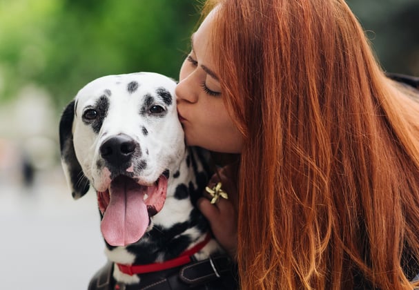 Owner kissing Dalmatian on the street