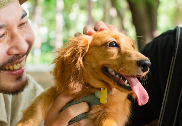 Two men stroking a dachshund.