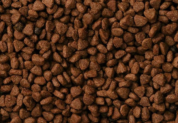 Dog kibble