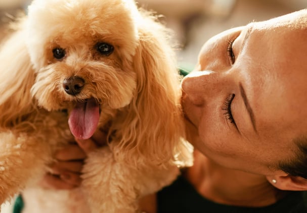 A woman embracing her light-coloured Poodle.